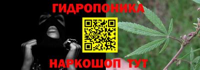 крисы Кунгур