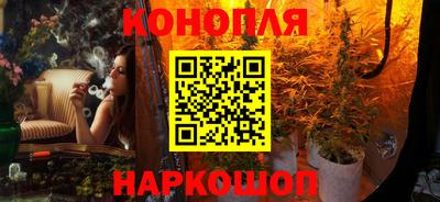 крисы Кунгур