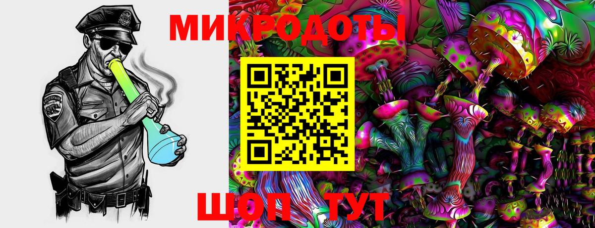 Электрогорск  Галлюциногенные грибы мухоморы  Вход с VPN 