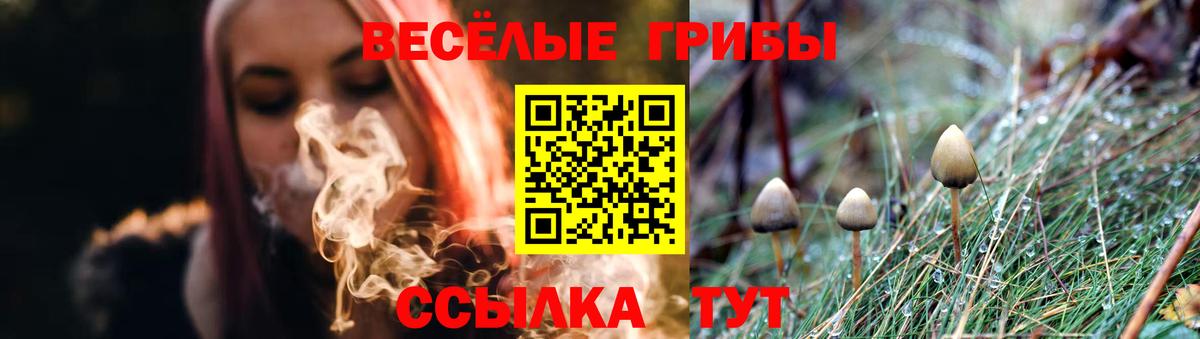 Псилоцибиновые грибы GOLDEN TEACHER Электрогорск